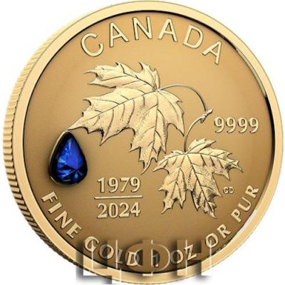 Pure Gold Fractional Set (2024 ).jpg
