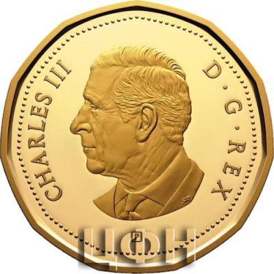 1 dollar Canada.jpg