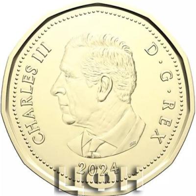 1 dollar Canada 2024.jpg