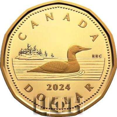 1 dollar Canada 2024.jpg
