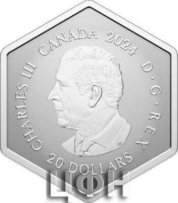 20 Dollars - Charles III Snowflake .jpg