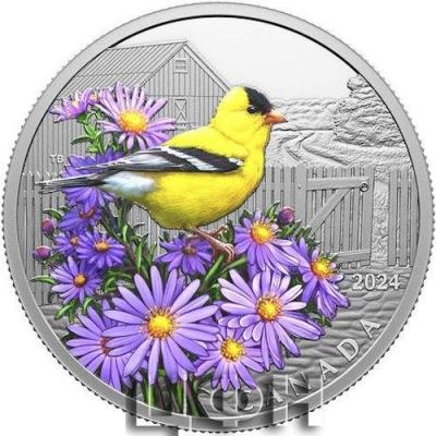 20 Dollars - Charles III American Goldfinch .jpg