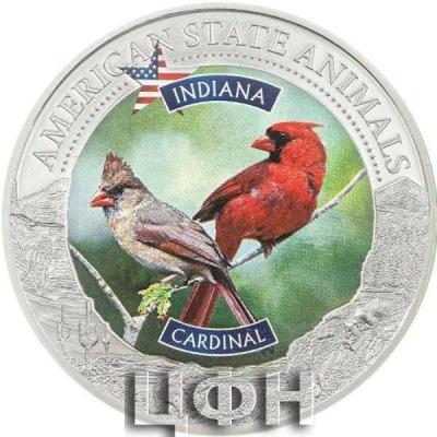 ind.thumb.jpg.b292f99d506a8aea239fe616dcd8da1f.jpg