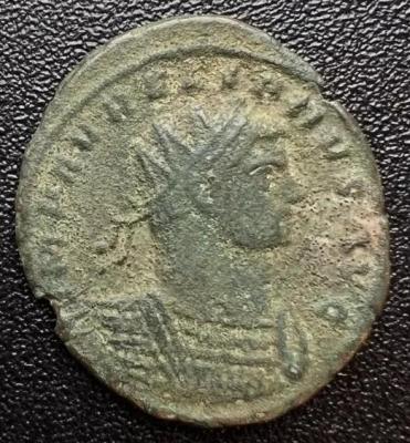 10_aurelian.thumb.jpg.2503ab2e73992b6cb57893a5f1b04f7c.jpg