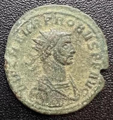5_probus.thumb.jpg.43f229a11cbaed717d5341b0920b9f6e.jpg