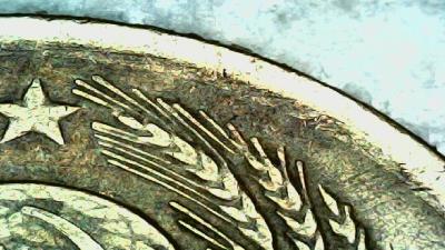 20241217-170401-330.jpg