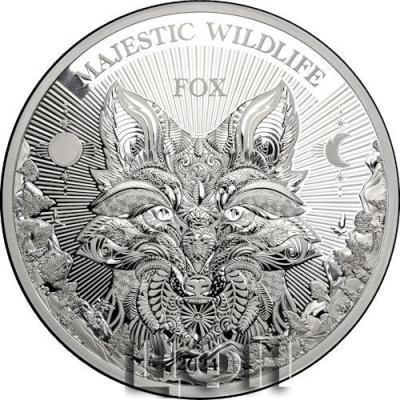 2024 25 Tala Majestic Wildlife — The Fox.jpg