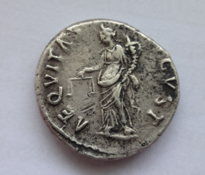 nerva2.png