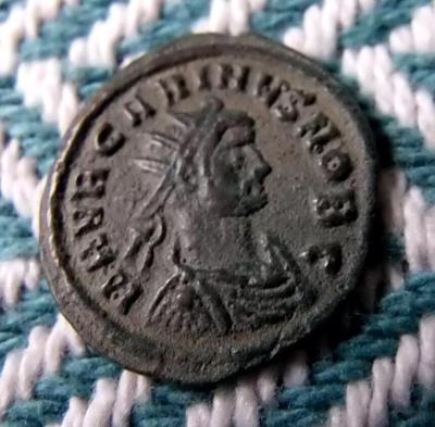 96_carinus.thumb.jpg.bca15dc02c98d763cba0e0566443f6f6.jpg