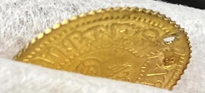 IMG_3620.jpeg