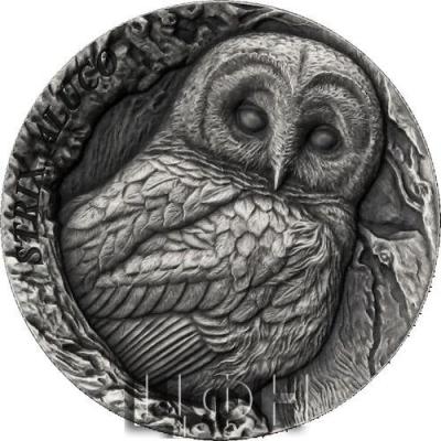 Samoa 2023 2 Dollar Tree Hollow - Strix Aluco - Antik Finish Stgl. finden Sie nachfolgend. .jpg