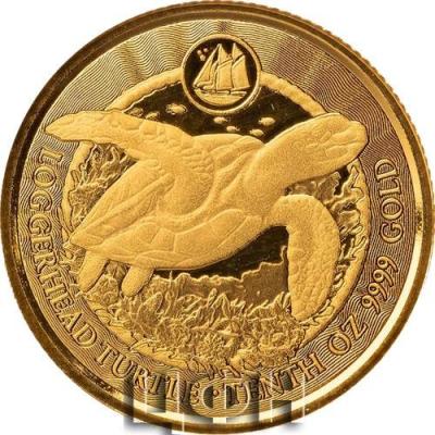 2 Dollars 2023 Cayman Islands Loggerhead Turtle TENTH oz Gold Coin.jpg