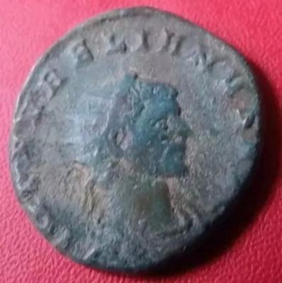 32_aurelian.thumb.jpg.67f162088851f33ba71fc3c313740bc2.jpg