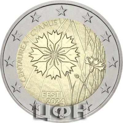 Igaunijas 2 Eiro piemiņas monēta - Rudzupuķe (2024).jpg