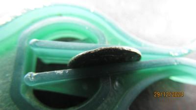 IMG_0893.JPG