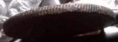 wp_20250107_23_12_11_pro.thumb.jpg.39921cf1a55144fd76a8dc7bde46a7af.jpg