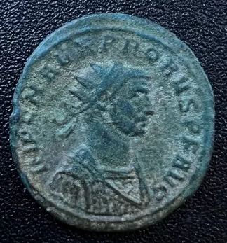 13_probus.png.f6ddd7d65f9f859b5f80b70d111aec9d.png