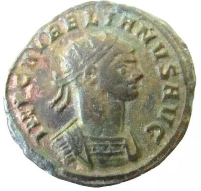 2_aurelian.thumb.jpg.a4c14f153d88d0b993c33fa39af83cf6.jpg