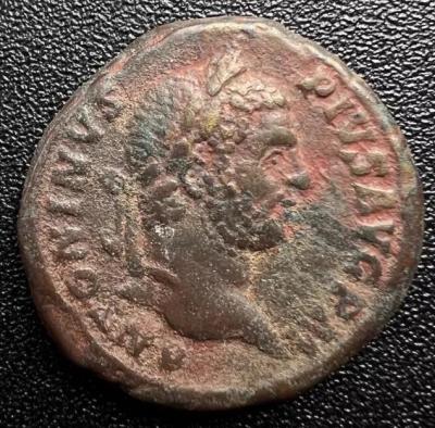 50_caracalla.thumb.jpg.3a38ba62ef8acc18e974287c8885d231.jpg