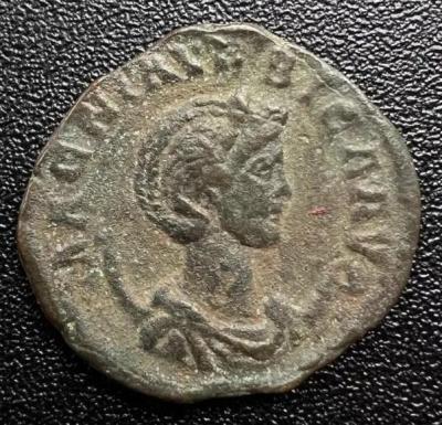52_magnia_urbica.thumb.jpg.ec89fec6c632d364d61dee9e2a2140ff.jpg