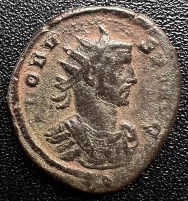 55_probus.thumb.jpg.375bdb7cc8f70a2de3f0257cbf3ee01a.jpg