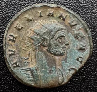 73_aurelian.thumb.jpg.a55d09d96151c795defa05976a4c9ab9.jpg