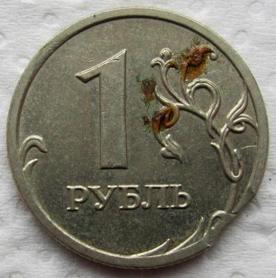 2.JPG