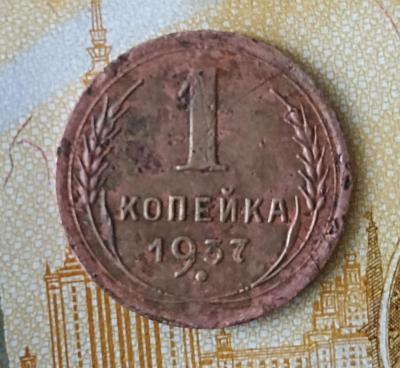 мон2.jpg