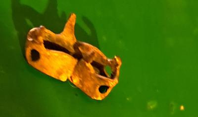 20250130_102650.jpg