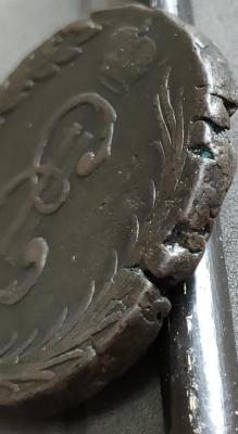 IMG_20250204_153428.jpg