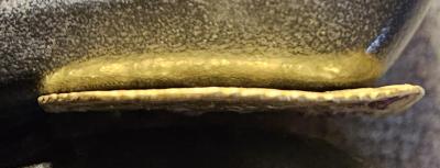 20250205_081230.thumb.jpg.b69795ea998a3be6df505a71357940c2.jpg