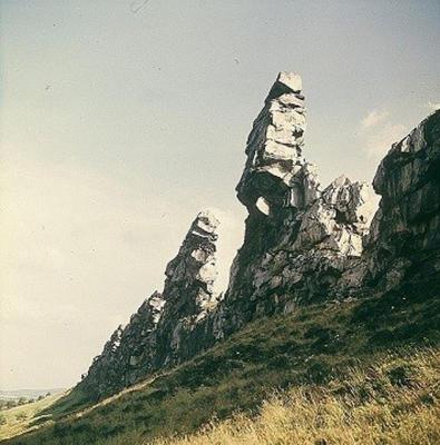 2.thumb.jpg.2ddf8ed6630ea8362f9dca7630ee7016.jpg