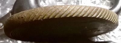 wp_20250217_19_29_16_pro.thumb.jpg.e3ee797c1660d47b5a68e1dcc590dc89.jpg