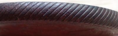 IMG-20250220-WA0141.jpg