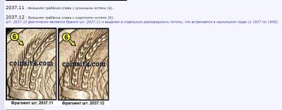 шт.37-12.jpg