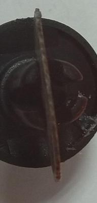 IMG_20250227_100006.jpg