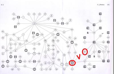2025_03_01_0c0_Kleki(1).png
