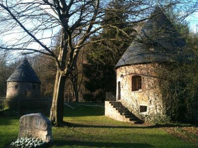 schloss_hardenberg_in_velbert-neviges_turme.thumb.jpg.7a61db285416a4e28393798327908504.jpg