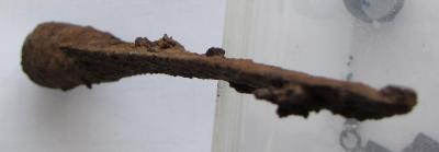 IMG_3131.JPG
