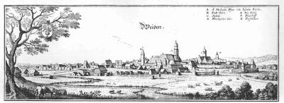 weiden_(merian).thumb.jpg.8f40b47b10b2966955b67d044a5a980d.jpg