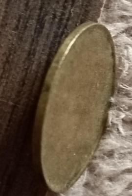 IMG_20250325_094934.jpg
