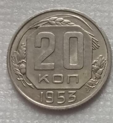 1743143406576.jpg