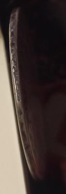 IMG_20250317_121448.jpg
