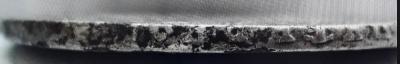 20250330_105951.jpg