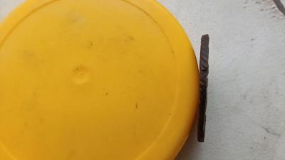 IMG_20250330_152651_881.jpg