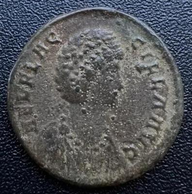 4_aelia_flaccilla.thumb.jpg.bce6874e87a47fceeda4c5b9f4f296b8.jpg