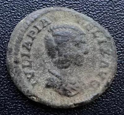 7_julia_domna.thumb.jpg.606519f34883e27925a4553d40ec5c60.jpg