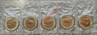 335221914.jpg