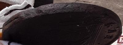 20250418_133126-1.jpg