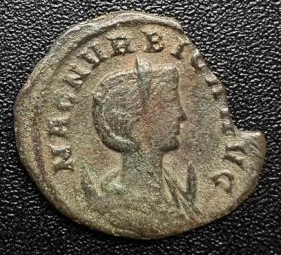 11_magnia_urbica.thumb.jpg.6ab28cdd5aa89b138e3090d87cbd423f.jpg